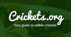 Crickets.org